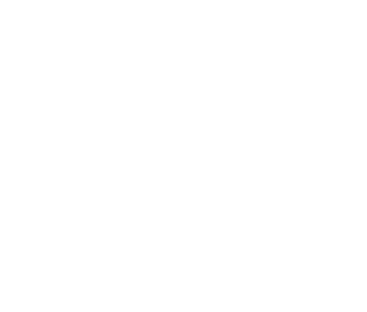 Pro Steel Solutions